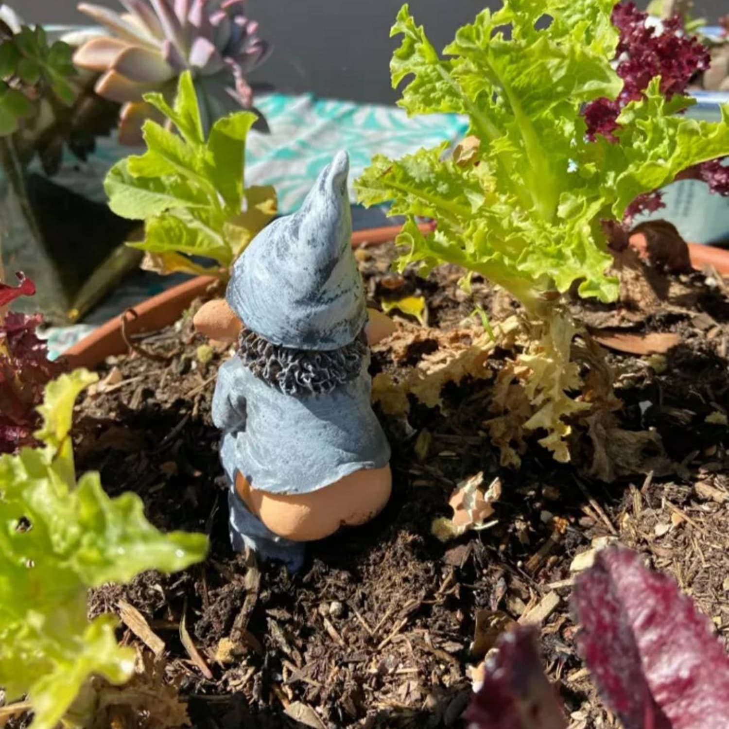 Garden Resin Handicraft Stinky Dwarf Statue Ornaments, Outdoor Decoration Sculptures, Defecation