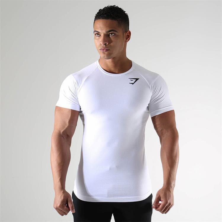 Man's clothing Men's short sleeve trend men's T-shirt Summer sports short sleeve quick drying training breathable tights