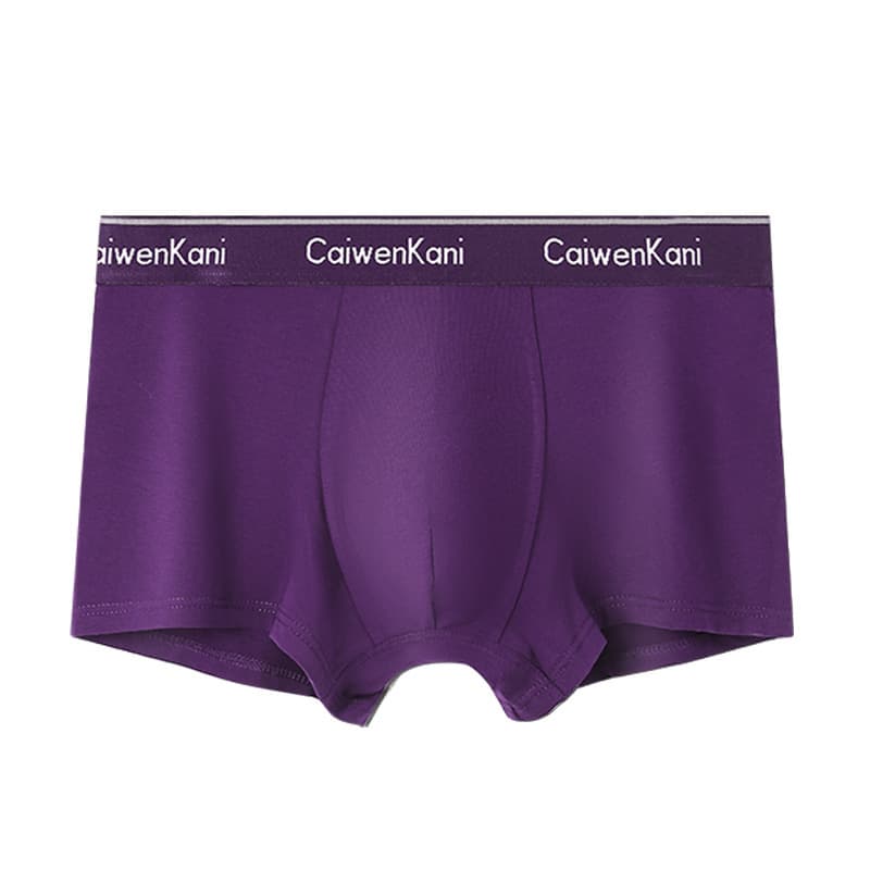 Boxer pour homme en coton respirant et modal, short d'été fin pour garçon