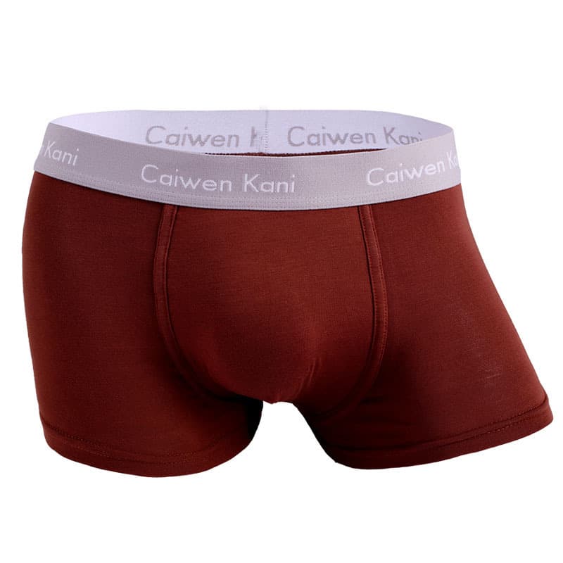 Boxer pour homme en coton respirant et modal, short d'été fin pour garçon