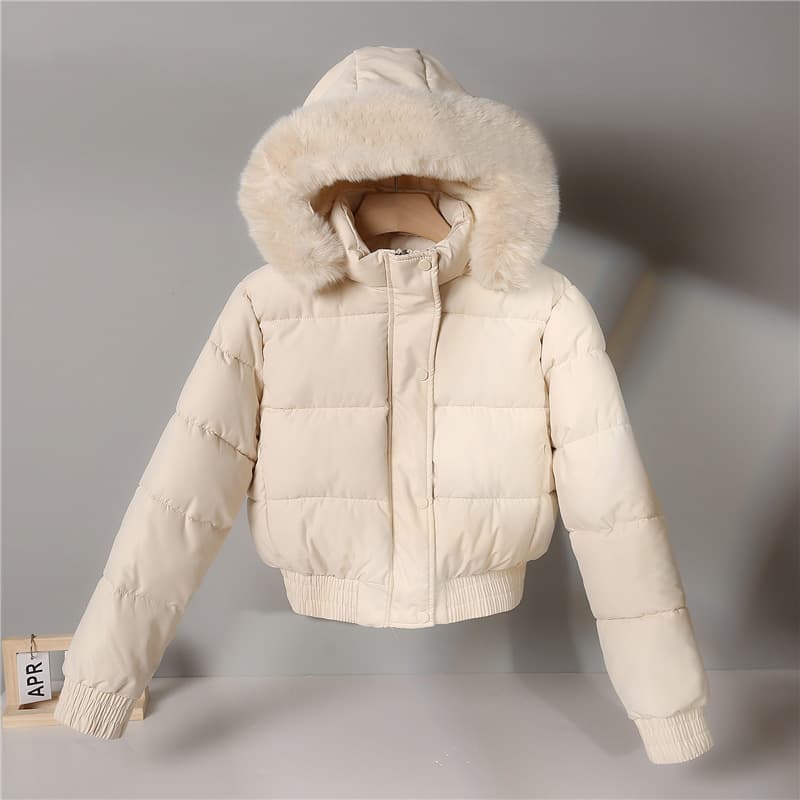 Women's Clothing special winter new large fur collar cotton jacket for women slim fit small thickened student jacket