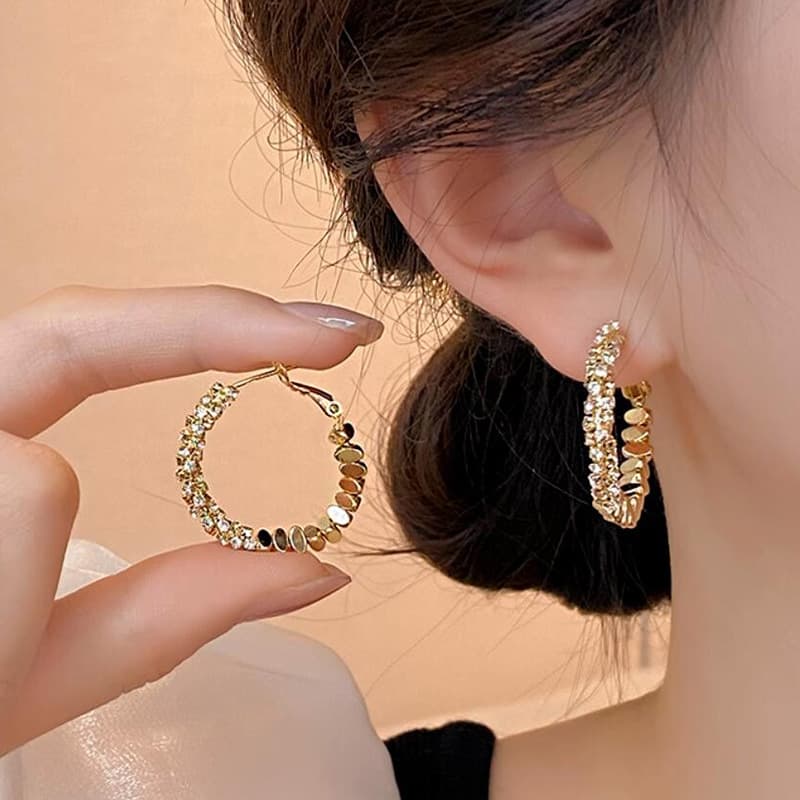Unique Circle Hoop For Women, Niche Light Luxury Design, 2024 New High-end Earrings