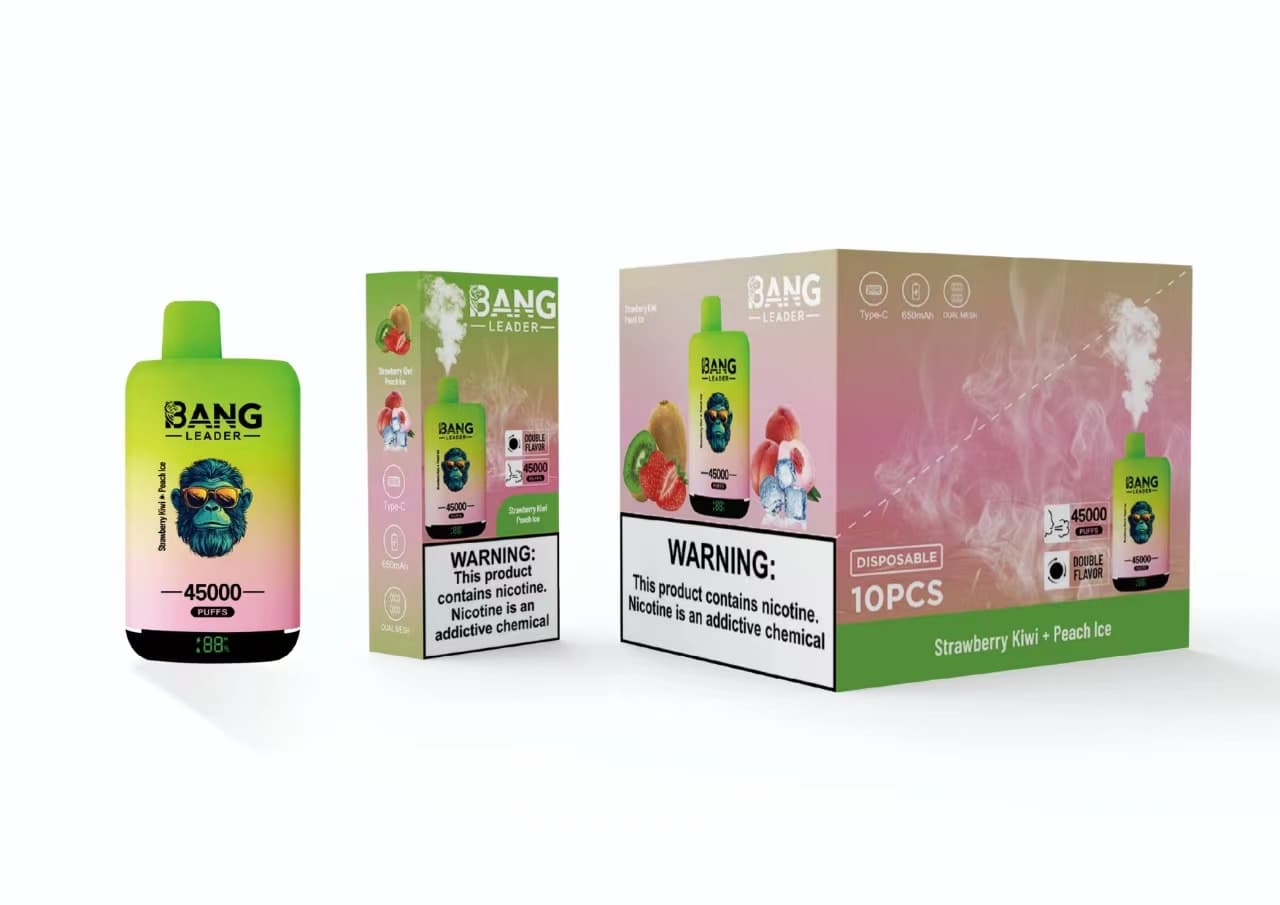 Appareil de vapotage jetable Bang Leader à double saveur, prérempli, 650 mAh, 45 000 bouffées, lot de 2, 5 ou 10