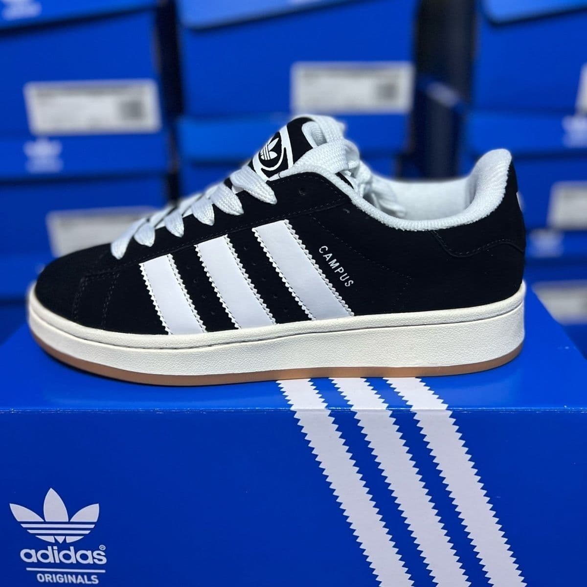 Chaussures de skateboard classiques et polyvalentes pour hommes et femmes, Campus Clover 00, style classique, pour loisirs et sports, avec coque et t
