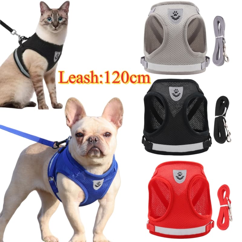 Vest, Leash And Harness Set, Adjustable Mesh Harness, Cat, Leash, Harnesses For Puppies, Bulldog, Corgi, Dog By PawParty Store