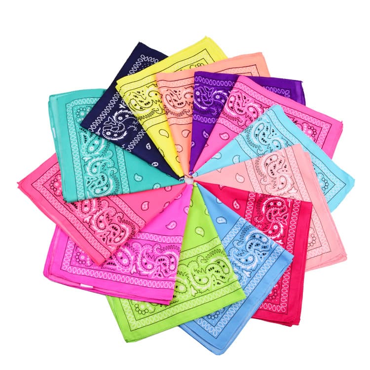 Unisex Polyester 54x54 cashew nut flower amoeba square Hip Hop hop riding bandana sunflower seed flower handkerchief
