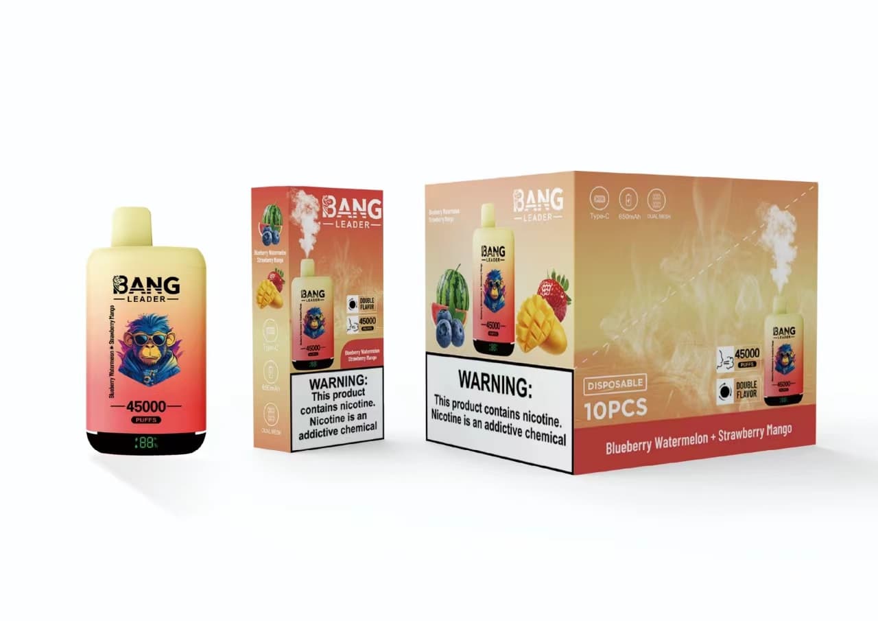 Appareil de vapotage jetable Bang Leader à double saveur, prérempli, 650 mAh, 45 000 bouffées, lot de 2, 5 ou 10