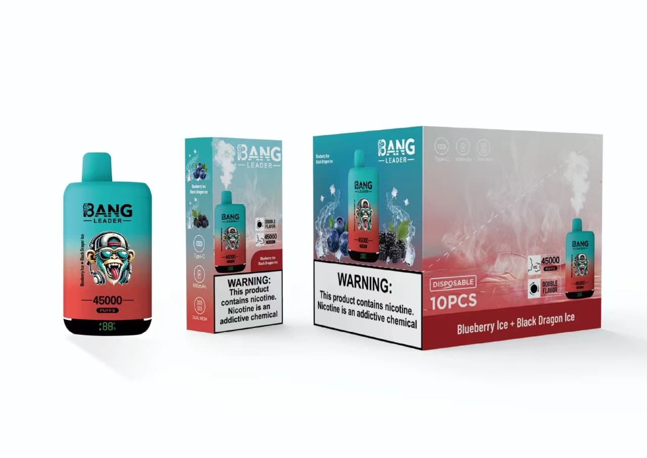 Appareil de vapotage jetable Bang Leader à double saveur, prérempli, 650 mAh, 45 000 bouffées, lot de 2, 5 ou 10