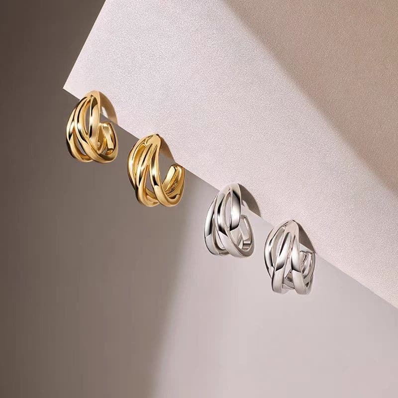 Women's Jewelry Gold Plated Earrings Niche Design Light Luxury Earrings High End Earring Accessories