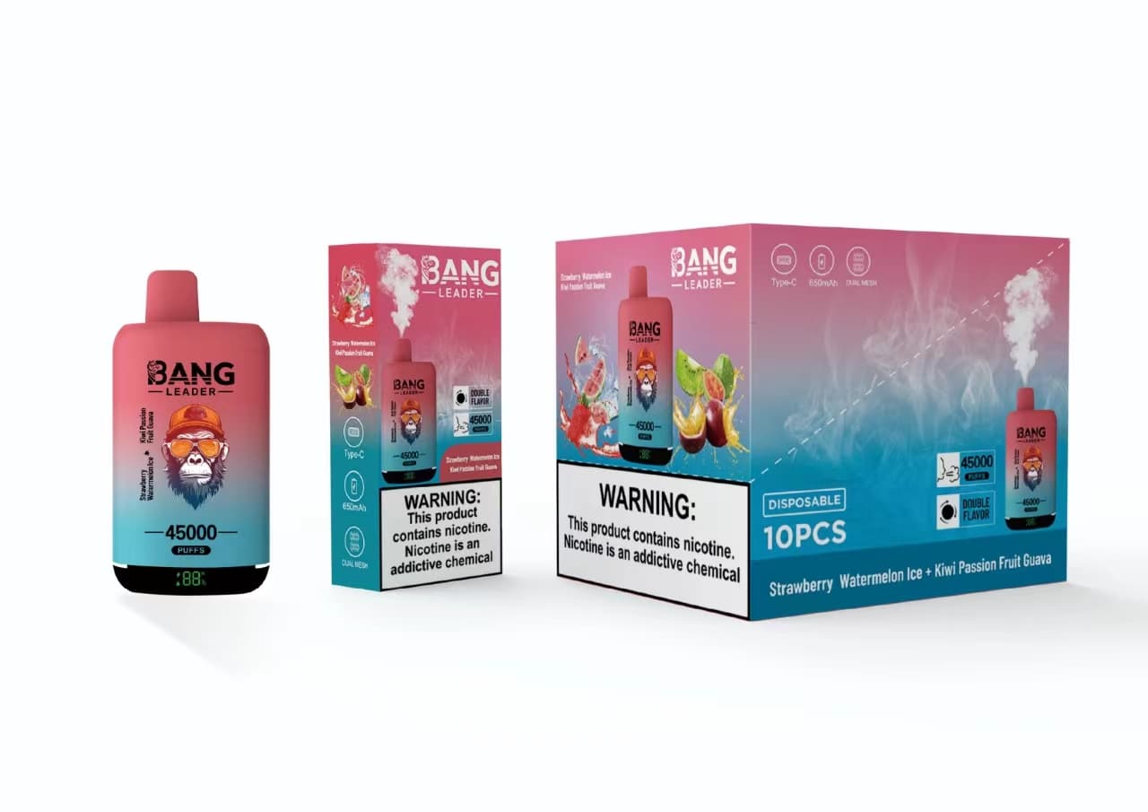 Appareil de vapotage jetable Bang Leader à double saveur, prérempli, 650 mAh, 45 000 bouffées, lot de 2, 5 ou 10
