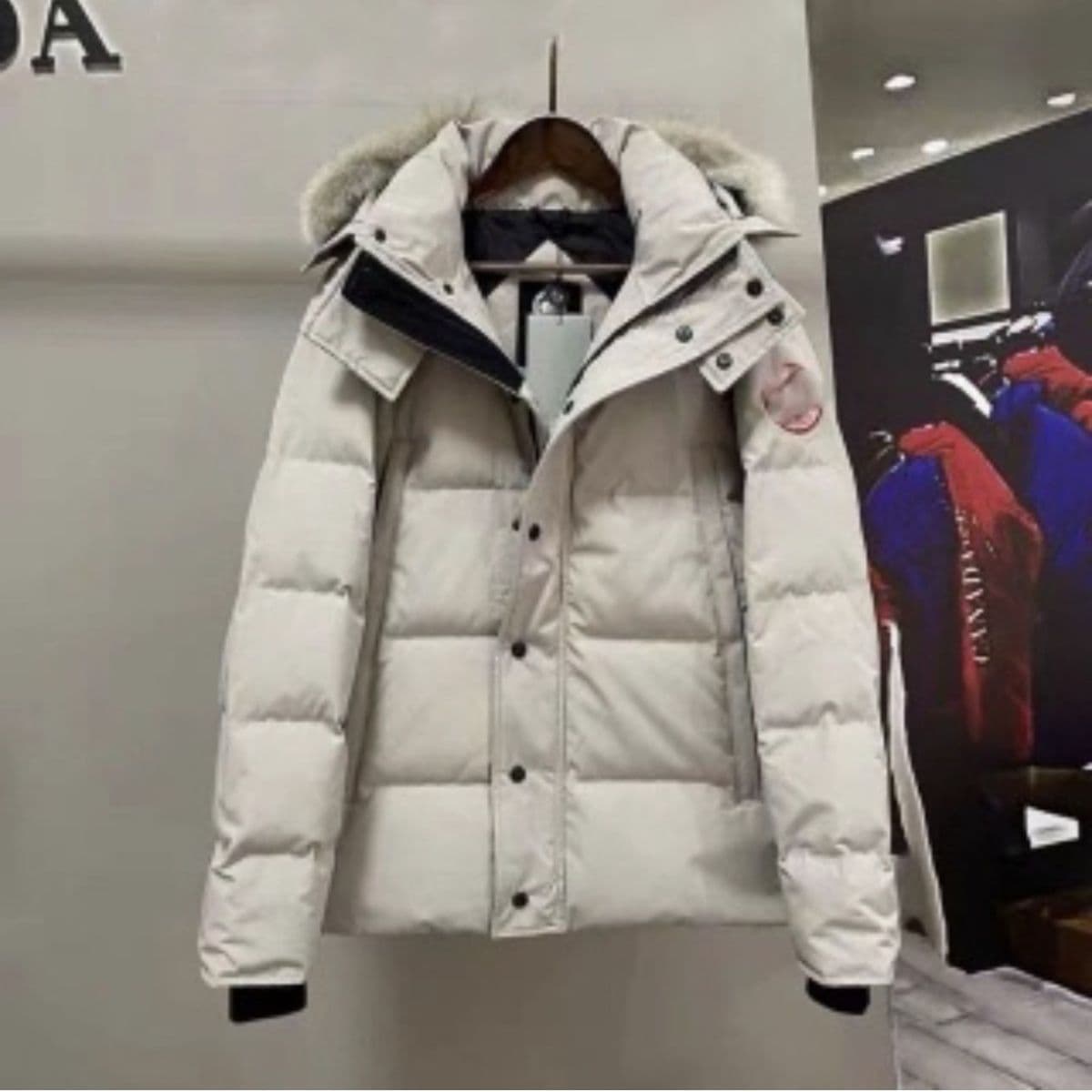 Canada Goose 2025 - Veste matelassée en coton pour homme et femme - Manteau à capuche épais et chaud avec col en fourrure