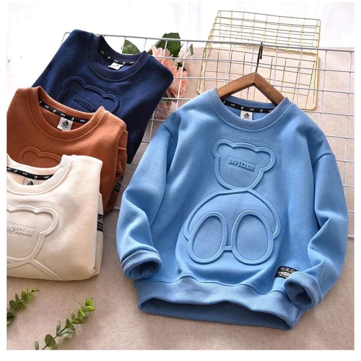 Boys' Cotton Hoodie Soft Casual Long Sleeve Pullover Sweatshirt For Kids (3-8 Years, 100-140cm) - Light Blue, Navy, Beige, Brown