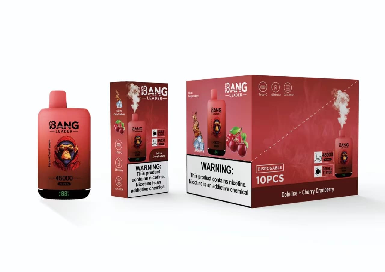 Appareil de vapotage jetable Bang Leader à double saveur, prérempli, 650 mAh, 45 000 bouffées, lot de 2, 5 ou 10