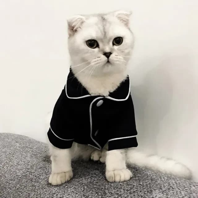 Christmas Costume For Cats WANGMEOW By PawParty Store