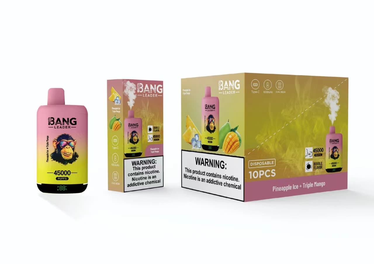 Appareil de vapotage jetable Bang Leader à double saveur, prérempli, 650 mAh, 45 000 bouffées, lot de 2, 5 ou 10