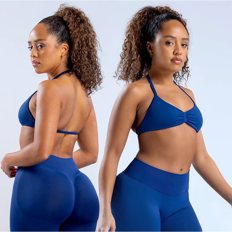 Women's Clothing High Elastic Matte Sports Bra Halter Neck Yoga Vest Polyester Fitness Top For Active Wear