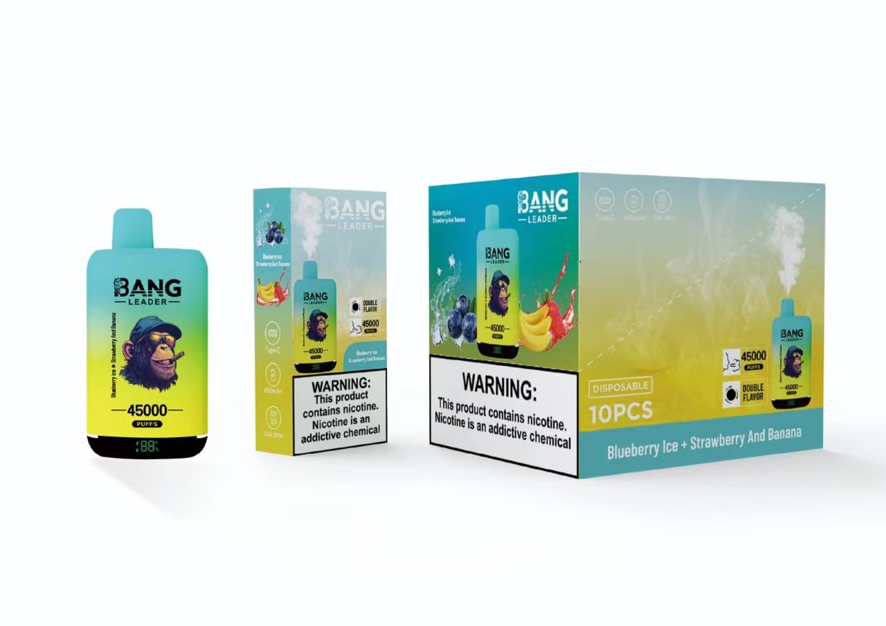 Appareil de vapotage jetable Bang Leader à double saveur, prérempli, 650 mAh, 45 000 bouffées, lot de 2, 5 ou 10