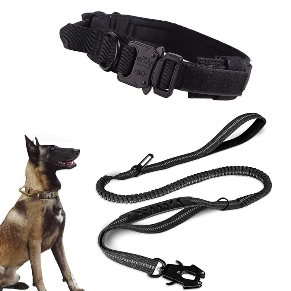 Factory Direct Sas Explosion-Proof Frog Buck Training Medium And Large Dogs Tactical Safety Leash Dog Rope