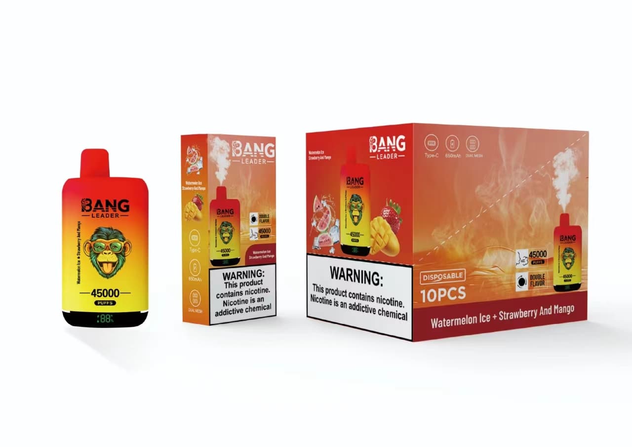Appareil de vapotage jetable Bang Leader à double saveur, prérempli, 650 mAh, 45 000 bouffées, lot de 2, 5 ou 10