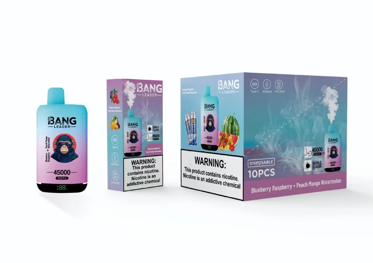 Appareil de vapotage jetable Bang Leader à double saveur, prérempli, 650 mAh, 45 000 bouffées, lot de 2, 5 ou 10