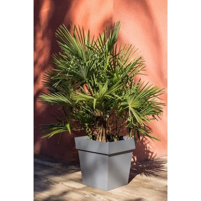 Pot de fleur carré - Toscane - EDA - 49,5 x 49,5 x H.52,5 cm - Intérieur / Extérieur - 87L - Gris Anthracite