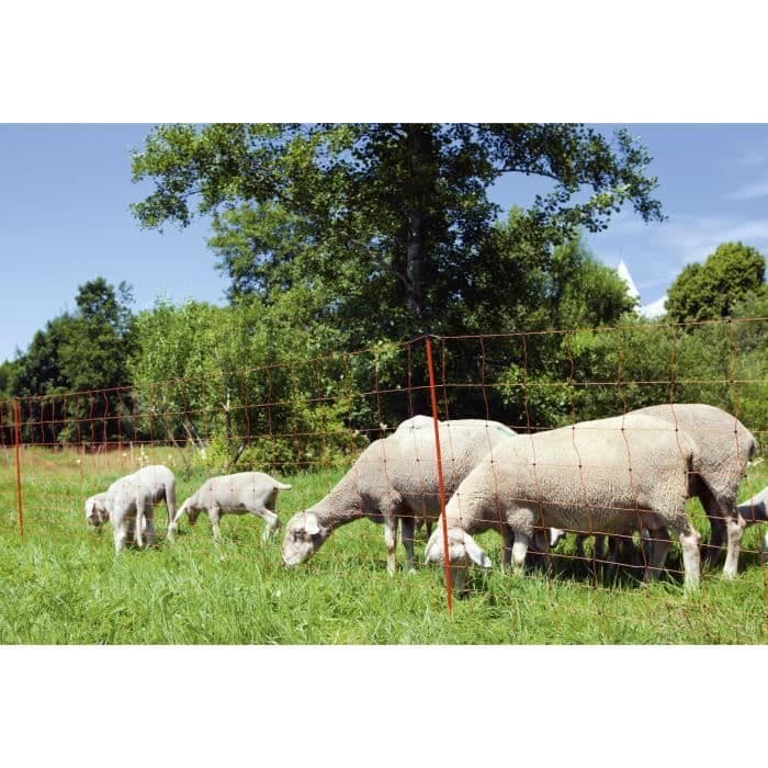 KERBL - Filet pour moutons OviNet électrifiable - Longueur 50 m - Hauteur 90 cm - 14 piquets