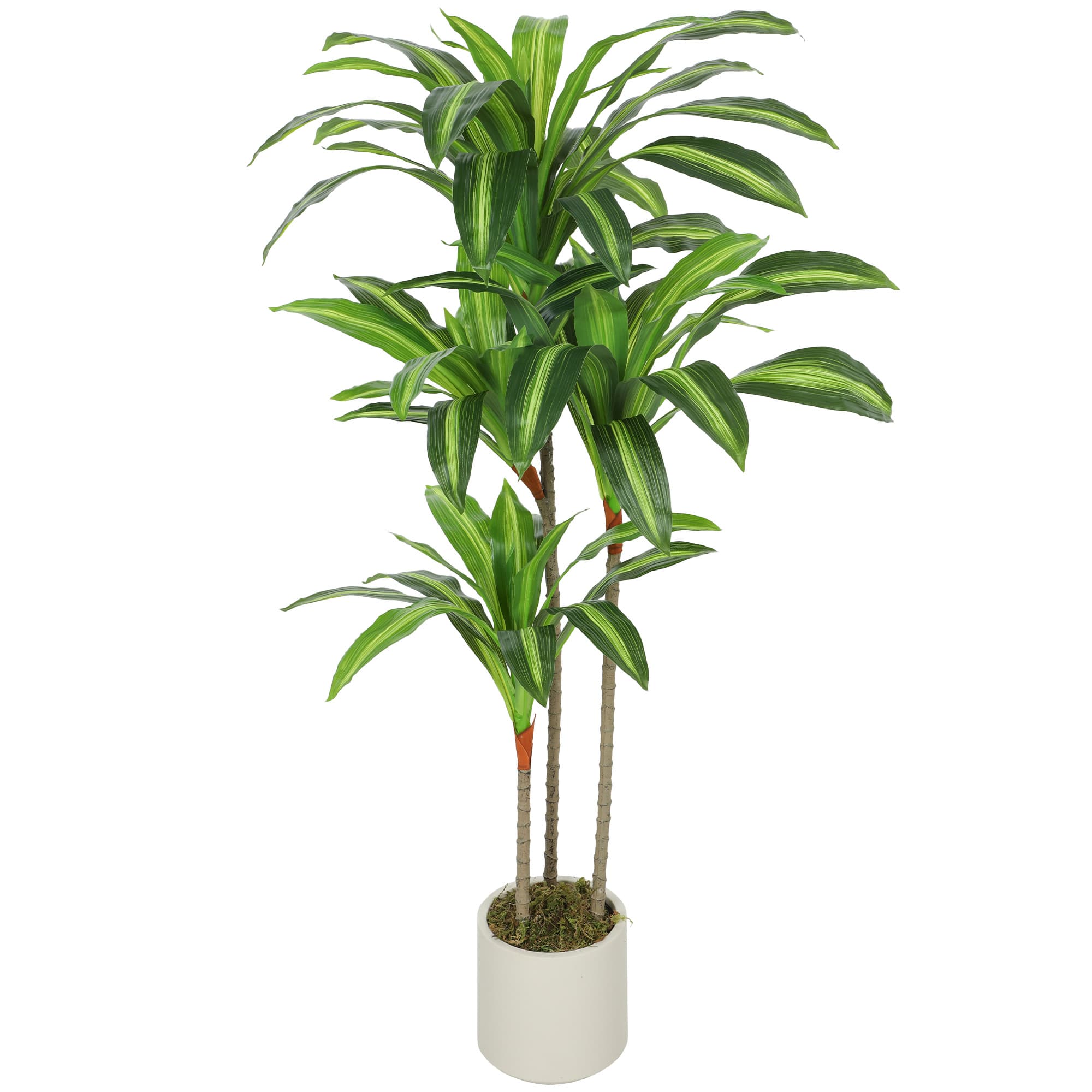 HOMCOM Plante Artificielle Dracaena Verte en PEVA et Bois avec Pot en PP et Ciment, 60x40x120 cm