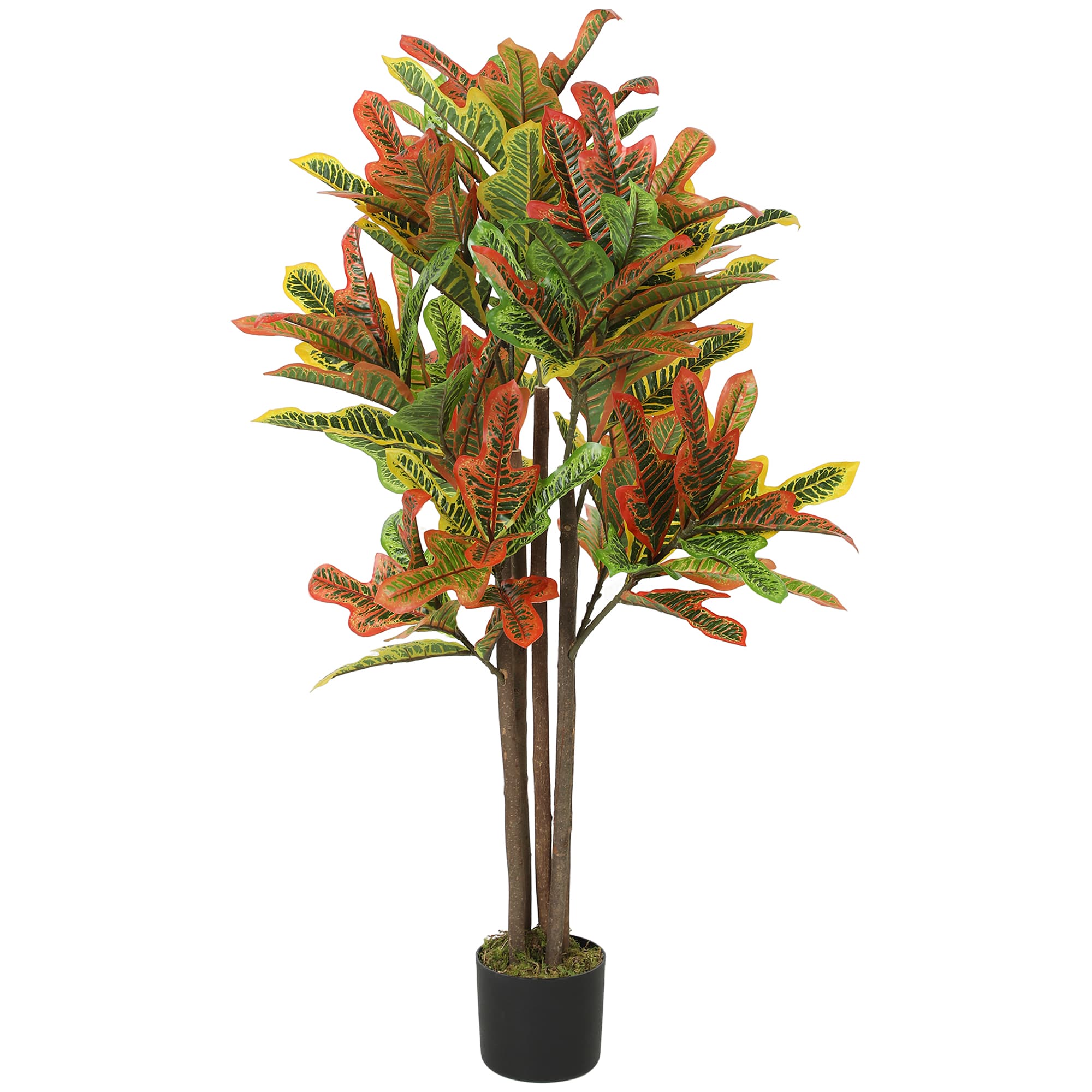 HOMCOM Plante artificielle de croton multicolore en PEVA et bois avec pot en PP et ciment, 55x55x120 cm