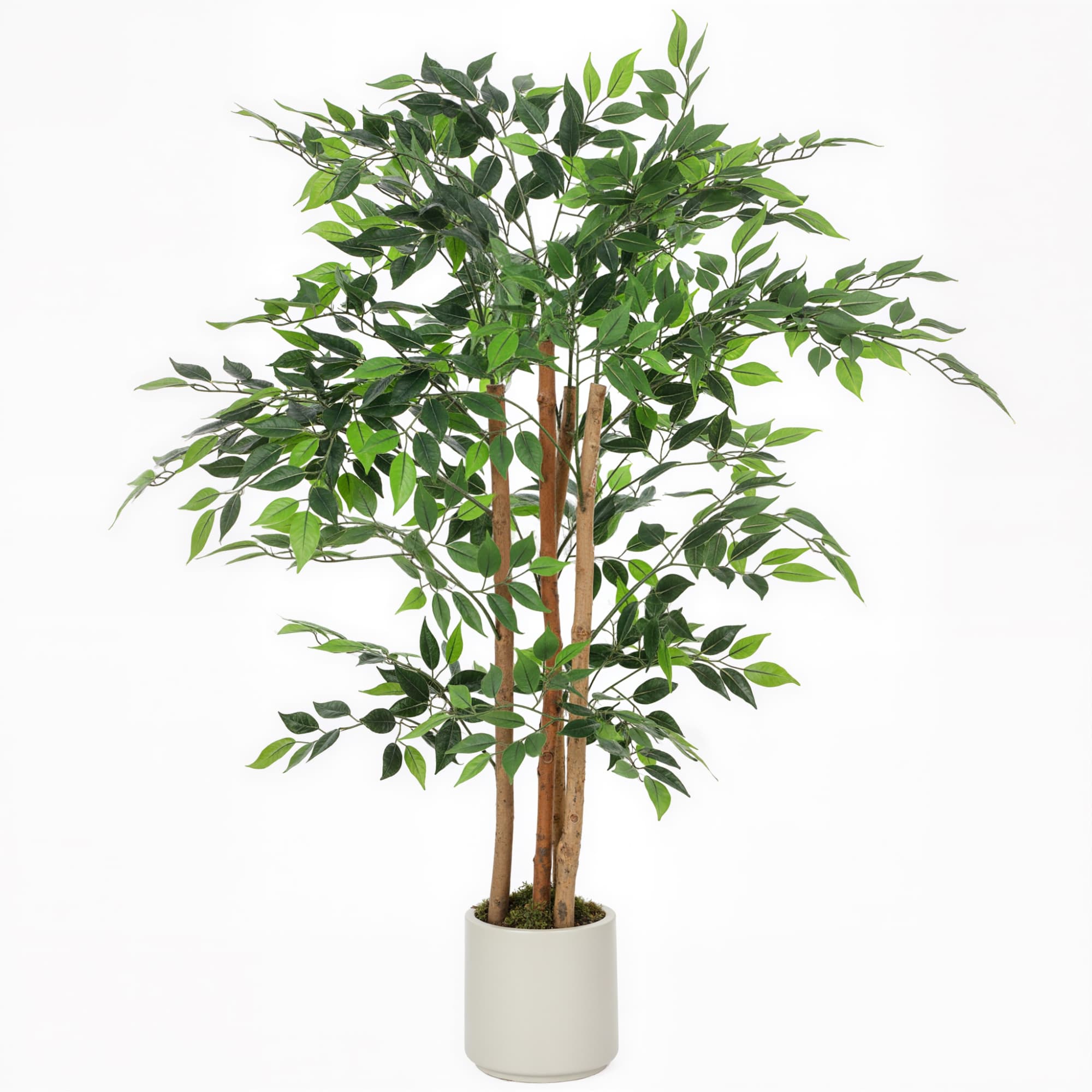 HOMCOM Plante Artificielle de Banian Verte en PEVA et Bois avec Pot en PP et Ciment, 55x55x120 cm