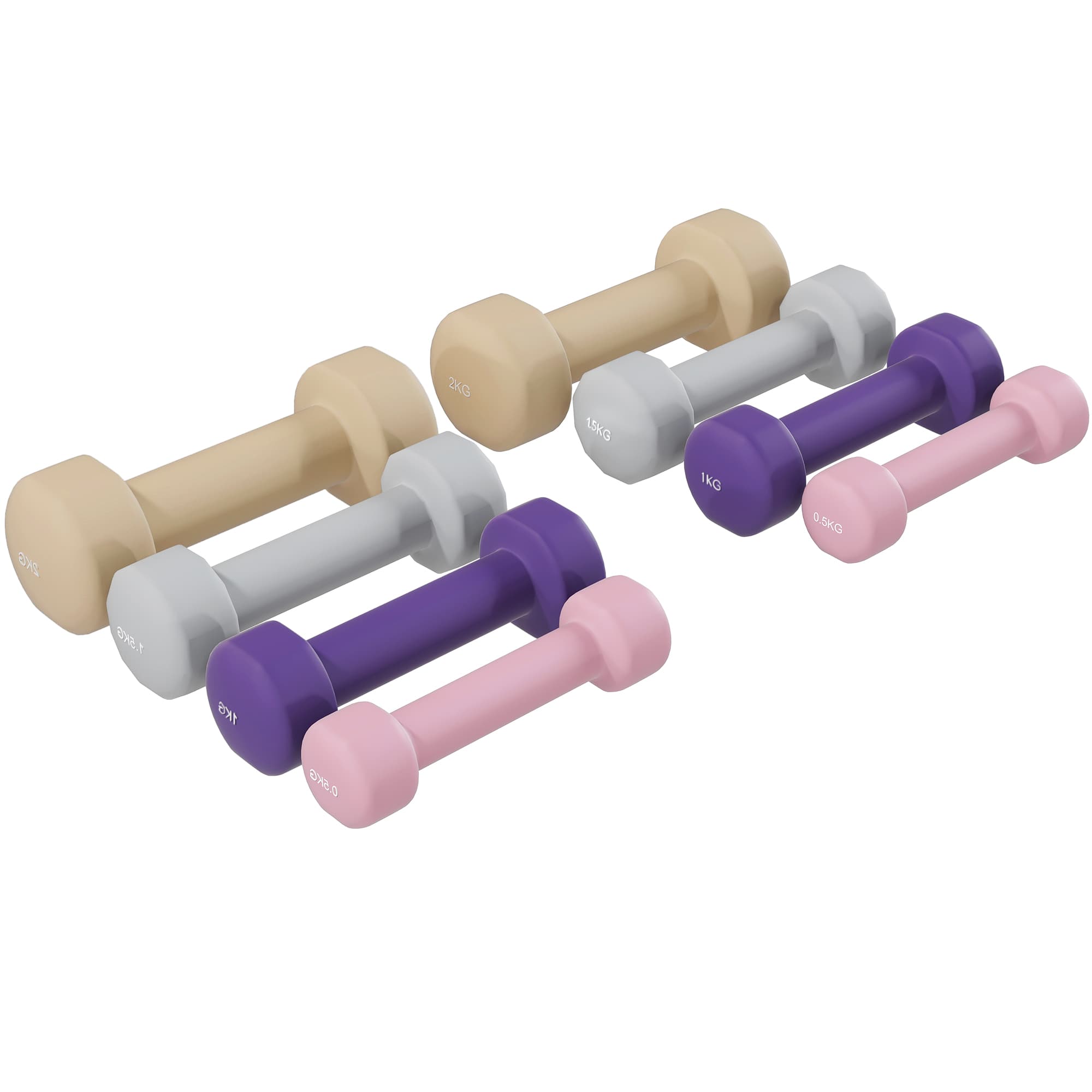 HOMCOM Ensemble d'haltères total 10 Kg - paires de 0,5/1/1,5/2 Kg avec mallette - entraînement musculaire - métal PU multicolore