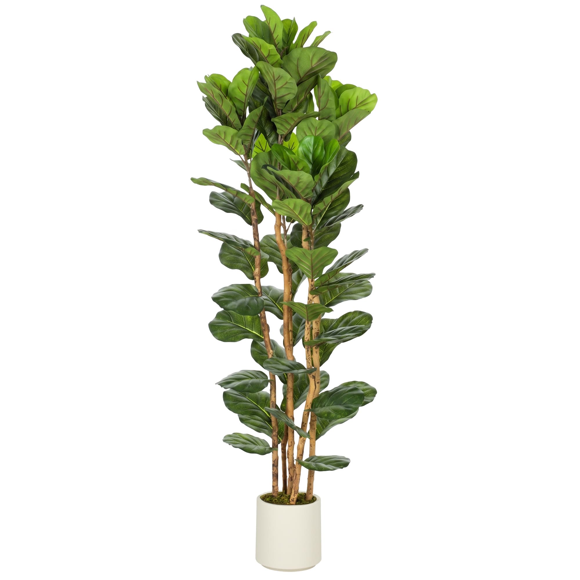 HOMCOM Plante artificielle intérieure 180 cm Figuier lyre arbre artificiel avec pot en plastique et tronc en bois massif, vert