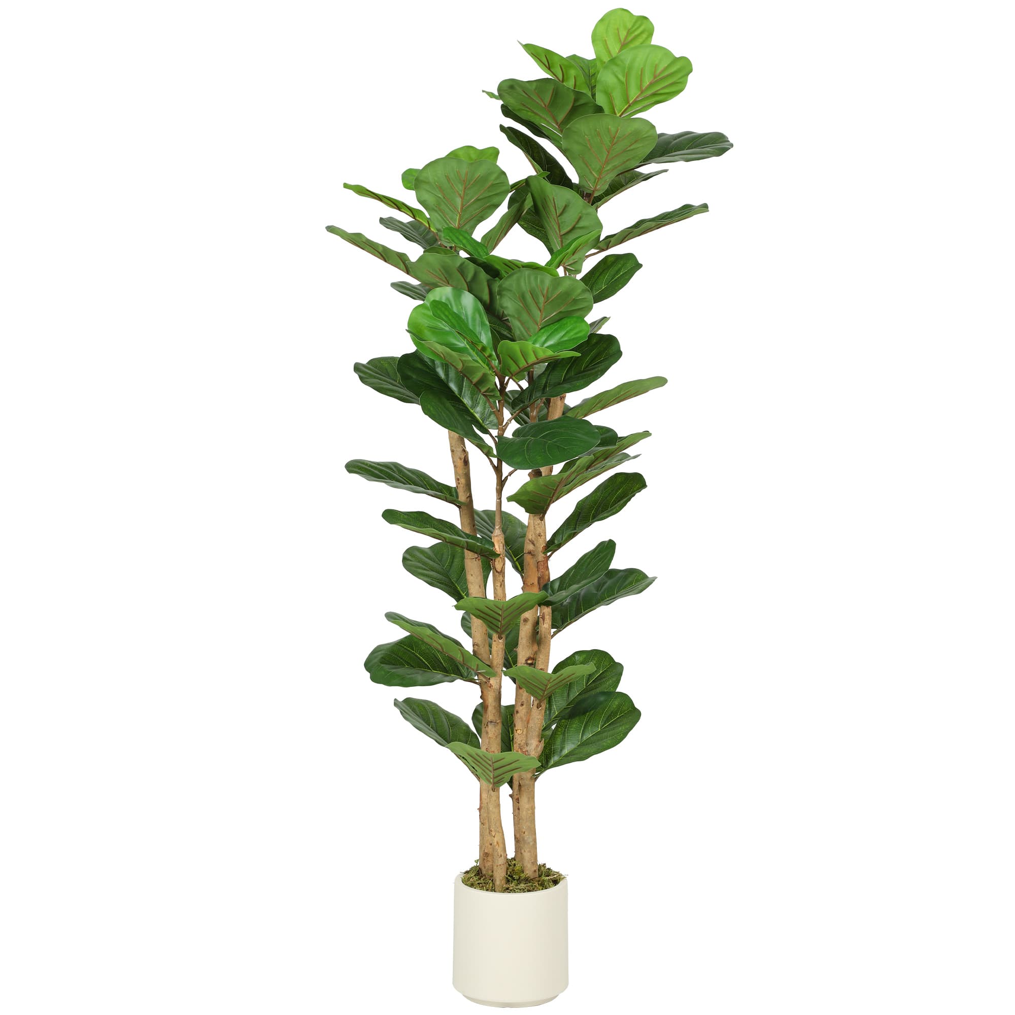 HOMCOM Plante artificielle intérieure 150 cm Figuier lyre arbre artificiel avec pot en plastique et tronc en bois massif, vert