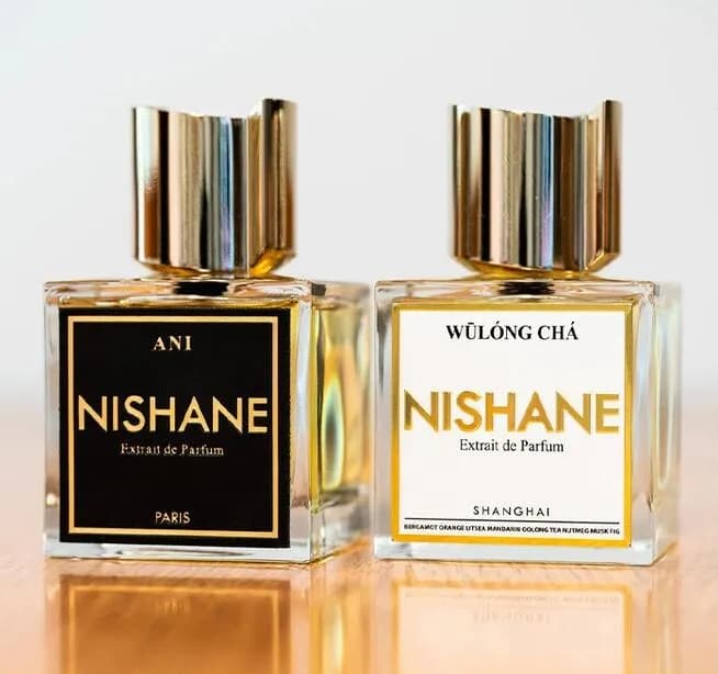 Nishane Perfume 100ml Wulongcha Ani Hacivat EGE Nanshe Fan Your Flames Fragrance Man Women Extrait De Parfu