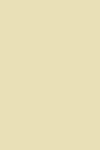 Netuno 50 feuilles de papier crème 140g A4 210x297 mm Splendorgel Avorio papier décoratif pour bricolage cartes de visite cartes de voeux origami quilling invitations brochures flyers loisirs créatifs