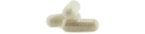 SABAL PALMETTO et pépins de courge * 440 mg / 120 gélules végétales * Appareil urinaire, Prostate