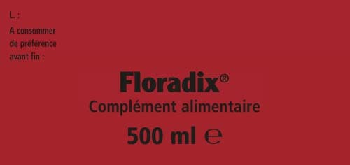 Salus Floradix Fer + Plantes - Formule Liquide Riche en Fer - Enrichi en Vitamine C pour une Meilleure Absorption - 500 ml