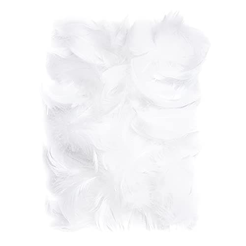Netuno 150 plumes décoratives blanches 10g plumes duveteuses décoratives plumes d'oiseaux plumes naturelles pour loisirs créatifs bricolage décorations de fêtes attrape-rêves fabrication de masques