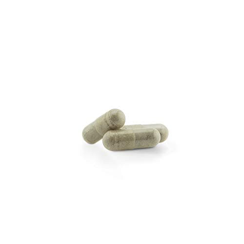 FER D'ORIGINE VÉGÉTALE (Kaloupilé)* 233.5 mg / 60 gélules * Carences (hémoglobine), Energie (fatigue), Immunitaire