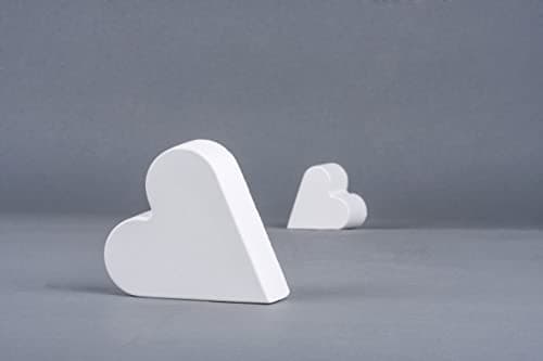 Rayher 3410302 RAYSIN 100 plâtre/poudre de moulage, blanc, 1 kg, durcissement rapide à l’air, inodore, structure fine, moulage d’objets décoratifs, Blanc