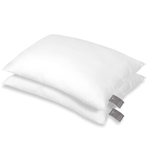 FAM Home Oreiller 50x60 Lot de 2 Anti Acarien I Coussin Rectangulaire Moelleux Microfibre Douces Hypoallergenique Entretien Facile