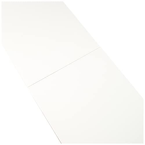 Strathmore Pro-Art-Bilderpalette Lot de 10 Feuilles de Papier Acrylique 20,3 x 30,5 cm