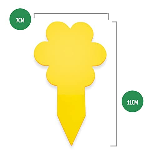 Super Ninja Anti Moucherons Interieur – 10 Pièges – Attrape Mouche De Plantes - écologique – Tres Efficace - Utilisation Facile - Jusqu'à 3 Mois par Piege (10 Pièges)