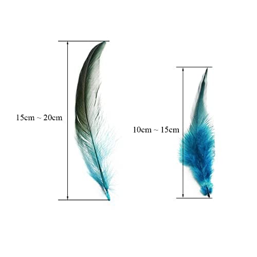 Csirnto Plumes 200 Pièces Naturelles Plumes de Coq Artisanat Plumes Décoration Coq Plume Plumes de Poulet Plumes de Faisan Plumes Naturelles pour Artisanat DIY Dream Catcher Costume Décoration