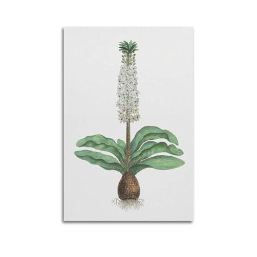Poster de fleur. Affiche d'album pour chambre à coucher, esthétique, décoration murale, salon, décoration d'intérieur, affiche moderne, décoration d'intérieur, affiche sur toile, affiche d'art