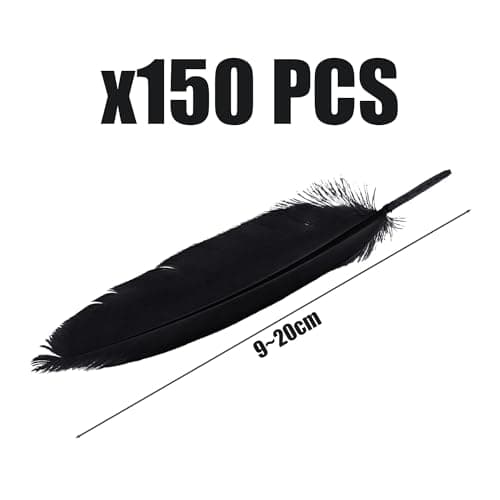 ZBHDEYG Lot de 150 plumes noires, décoration de bricolage, plumes naturelles, décoration de plumes, peuvent être utilisées pour les vêtements, les chapeaux et la décoration de meubles