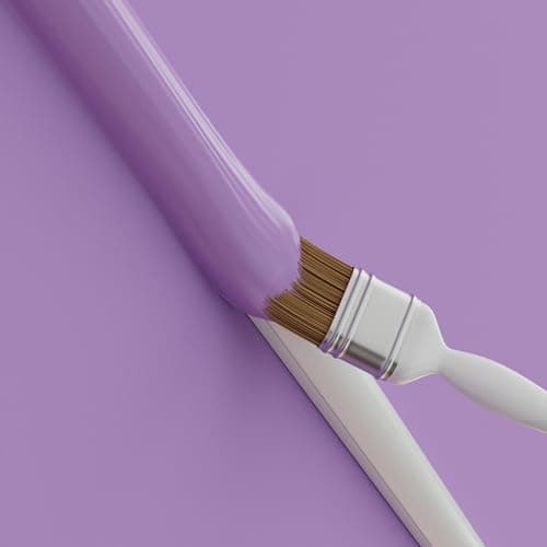 D-Line 50x25mm Moulure Décorative en Demi-Cercle |1M5025W | Goulotte Électrique | Cache-Câble | 1m Longeur, Blanc