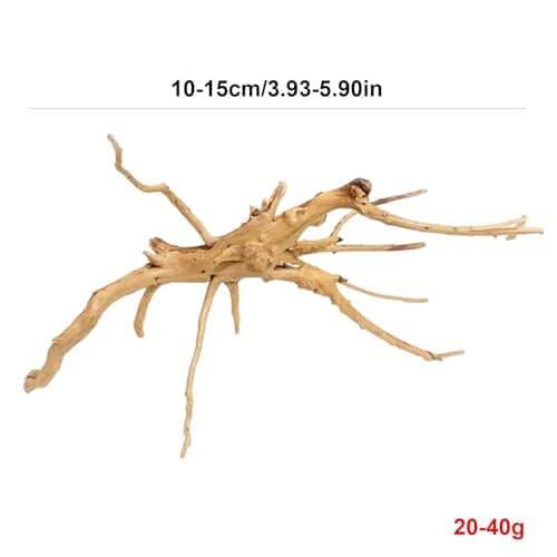 Fulenyi Plantes d'aquarium, Racine d'arbre en Bois flotté, décoration en Bois flotté, Branches en Bois Massif, décoration de Terrarium, Accessoires pour Petits Poissons