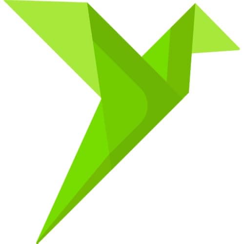 Origami Birds FC