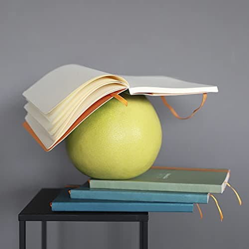 RHODIA 117442C - Carnet Souple Paon - A5 14,8 x 21 cm - Pointillés Dot - 160 pages - Papier Clairefontaine Ivoire 90 g/m2 - Marque-Page, Fermeture Élastique - Simili Cuir - Collection Rhodiarama