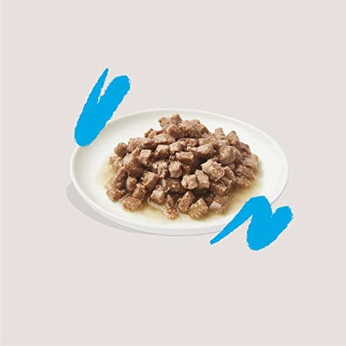 Edgard & Cooper Pâté Pour Chat, Adulte, (Saumon & Poulet, 85g x 18), Patée Morceaux en Sauce pour Chat, Viande et poisson frais et protéines de qualité, Pâté pour chat stérilisé et actif